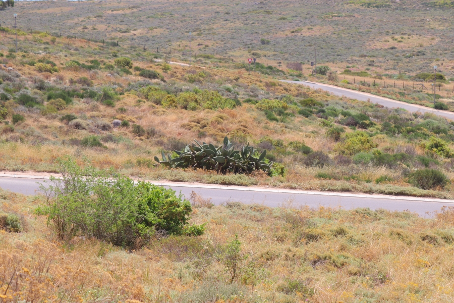 0 Bedroom Property for Sale in St Helena Views Western Cape